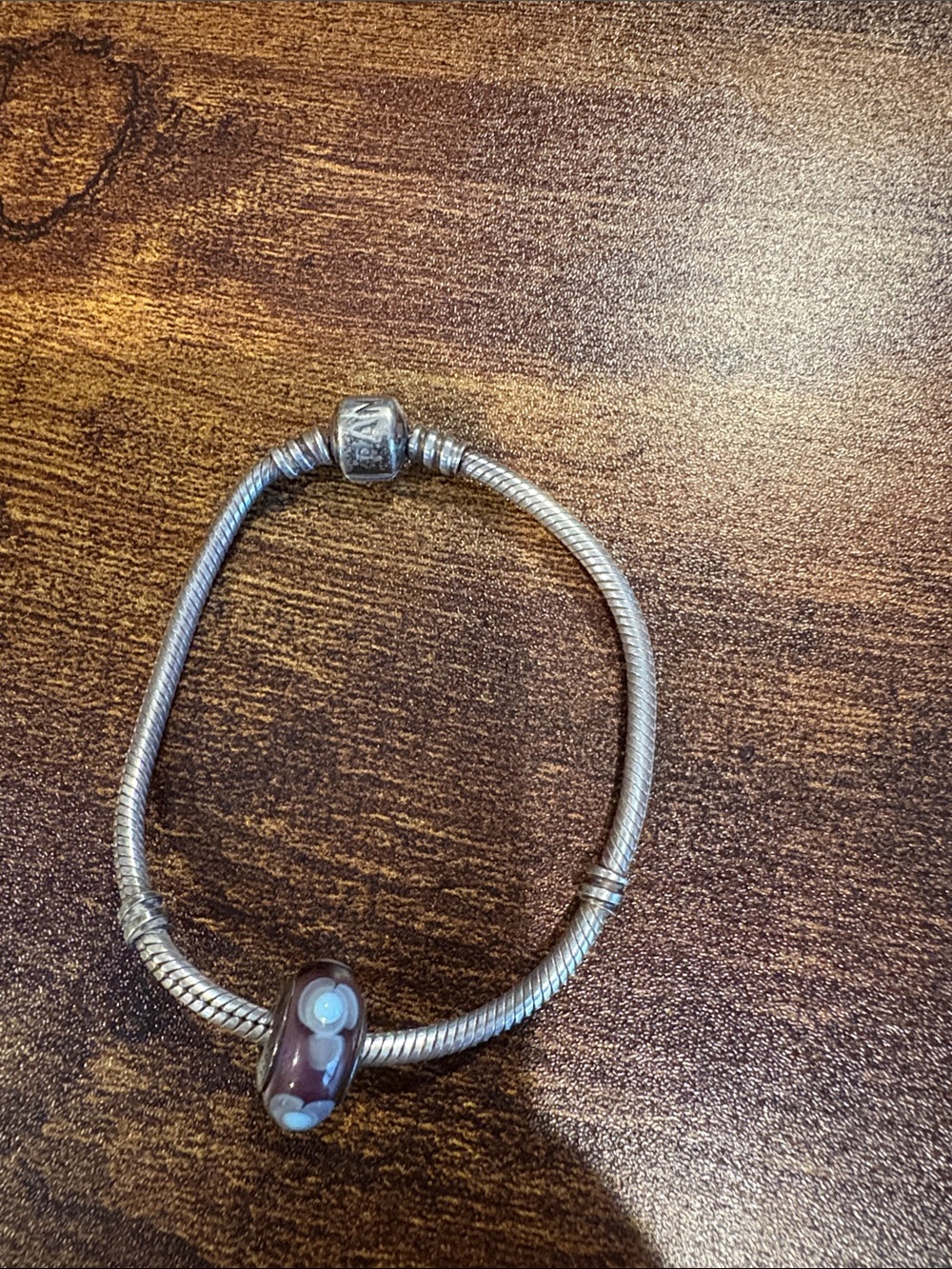 Pandora Charm Bracelet